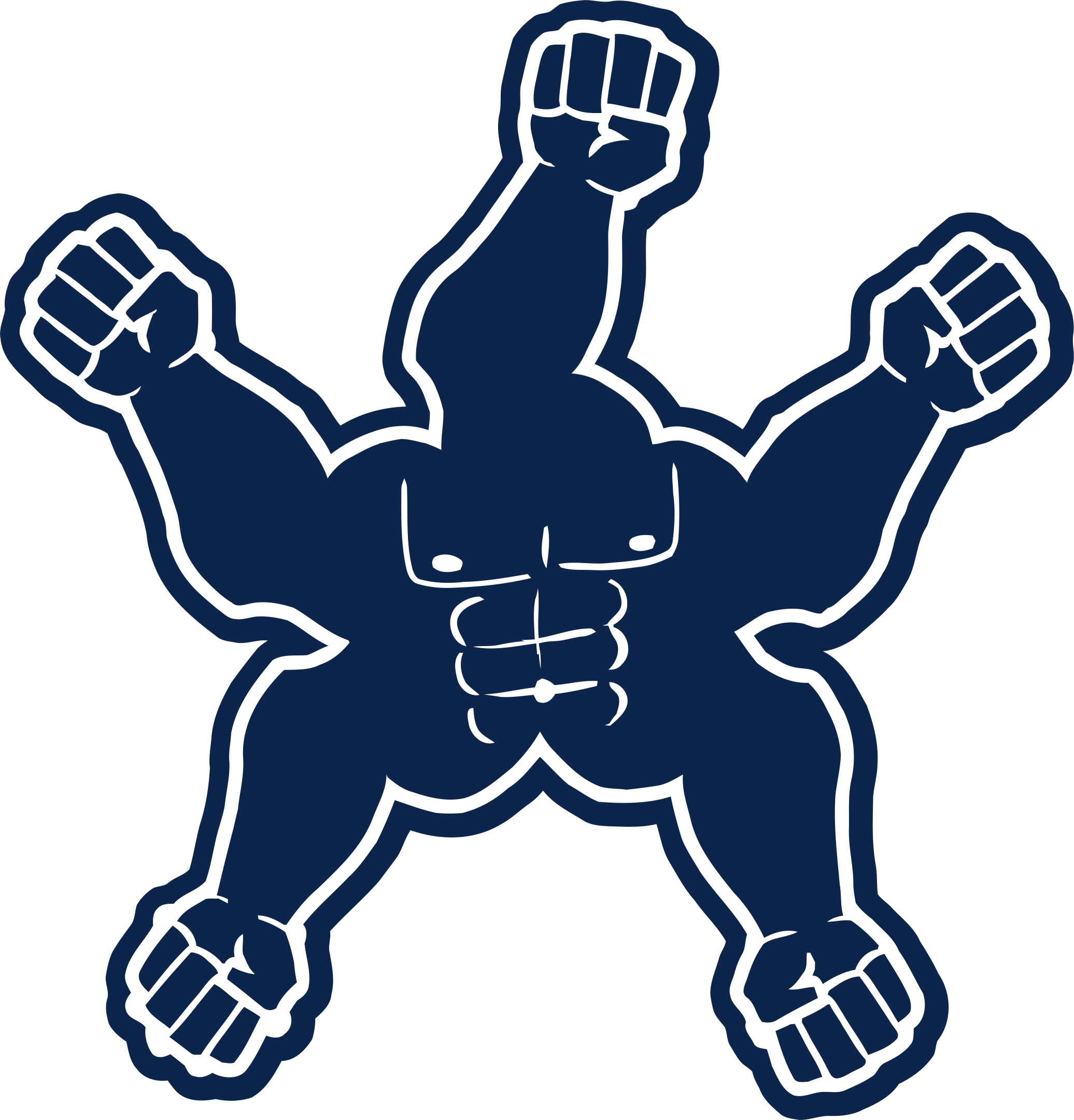 Dallas Cowboys Steroids Logo iron on transfers